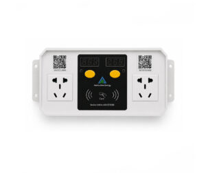 2-port e-bike charging station